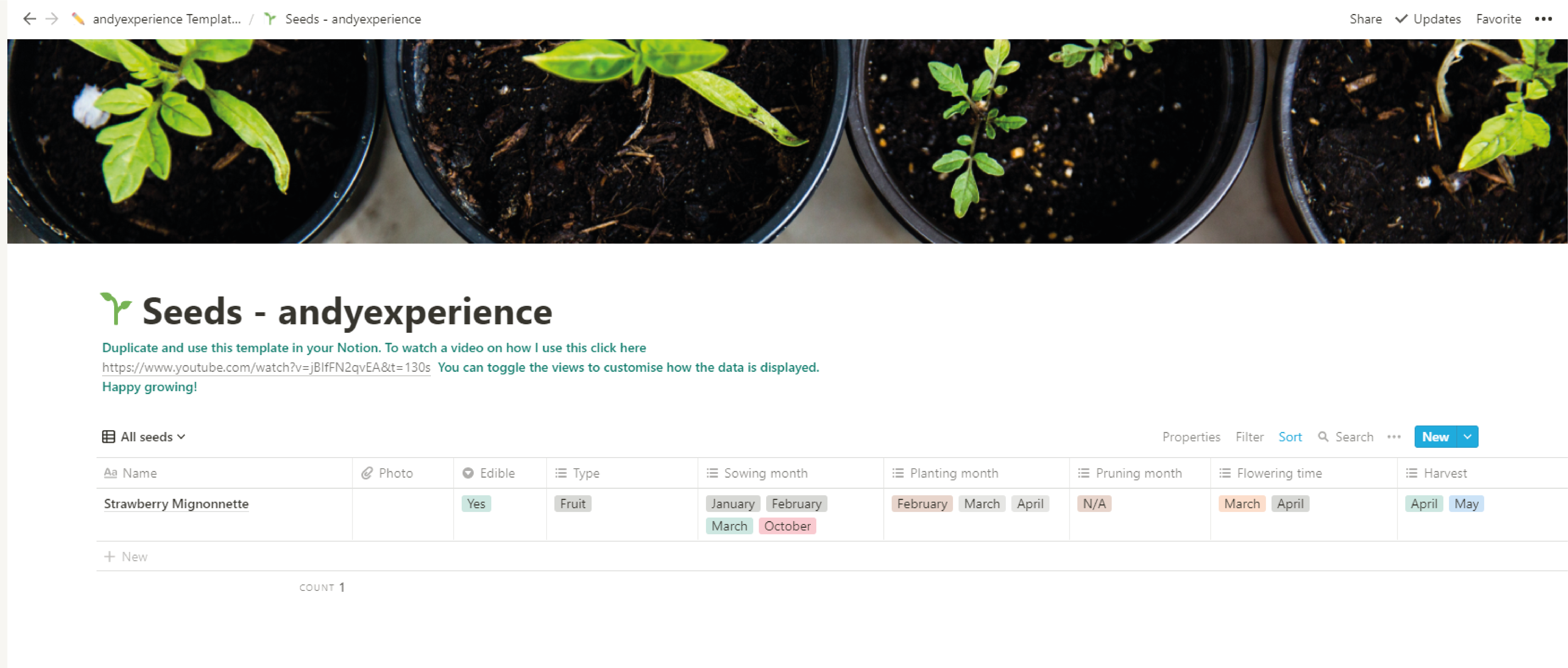 Notion Templates andyexperience